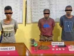 Polisi Berhasil Mengungkap Jaringan Narkoba di Pessel: Tiga Tersangka Ditangkap beserta Barang Bukti