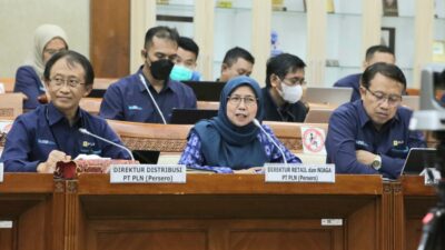 Komisi VI DPR Apresiasi PLN Siapkan Listrik Masa Mudik 2023, Lebih Dini, Lebih Baik, Lebih Antisipatif