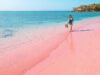 Pantai Pink Lombok. (Foto @implasticfree)