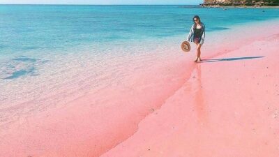 Mengapa Pantai Pink Lombok Disebut Sebagai Surga di Bumi?