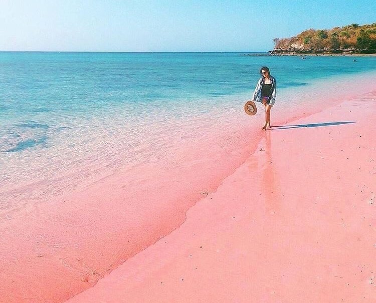 Pantai Pink Lombok. (Foto @implasticfree)