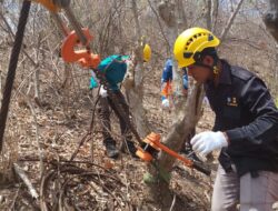 Cegah Gangguan Meluas, PLN NTB Bangun Tower Emergency Recovery System