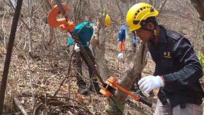 Cegah Gangguan Meluas, PLN NTB Bangun Tower Emergency Recovery System