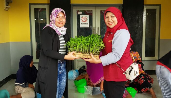 BDRG, Caleg Perindo Ajak Masyarakat Tanam Sayur di Rumah, Ini Alasannya