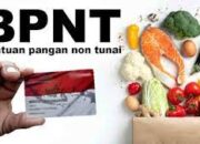 BPNT