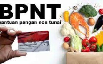 BPNT