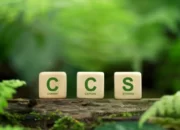 Teknologi CCS, Cara Indonesia Menuju Industri Rendah Karbon! Ini Regulasinya