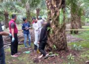 Penemuan Mayat Gantung Diri di Pohon Sawit di Belitung Timur