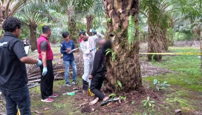Penemuan Mayat Gantung Diri di Pohon Sawit di Belitung Timur