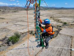 PLN UIW NTB Lakukan Pemeliharaan Jaringan Transmisi 150 kV Sumbawa