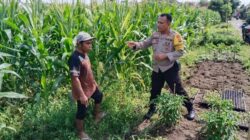 Bhabinkamtibmas Bagik Polak Barat Pacu Ketahanan Pangan