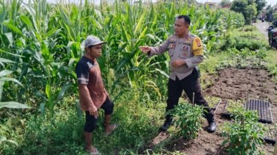 Bhabinkamtibmas Bagik Polak Barat Pacu Ketahanan Pangan