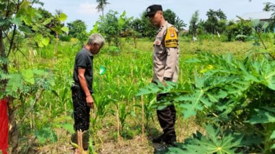 Polri Kawal Ketahanan Pangan Nasional di Desa Labuapi