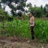 Petani Terong Tawah Kini Tak Sendiri, Polri Beri Pendampingan Khusus Demi Swasembada Pangan