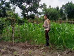Petani Terong Tawah Kini Tak Sendiri, Polri Beri Pendampingan Khusus Demi Swasembada Pangan