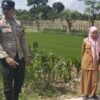 Transformasi Pekarangan Warga di Desa Labuapi: Polisi Ajak Masyarakat Sulap Lahan Tidur Jadi Produktif