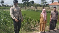 Transformasi Pekarangan Warga di Desa Labuapi: Polisi Ajak Masyarakat Sulap Lahan Tidur Jadi Produktif