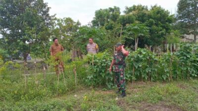 Bhabinkamtibmas dan Babinsa Labuapi Komit Jaga Pangan Desa