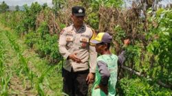 Bhabinkamtibmas Labuapi Ajak Warga Mandiri Pangan