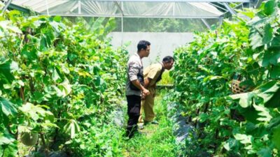 Bhabinkamtibmas Desa Bengkel Perkuat Ketahanan Pangan