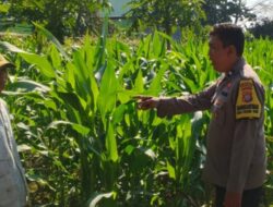 Sentuhan Humanis Polri di Labuapi: Edukasi Warga Kelola Lahan Mandiri Demi Swasembada Pangan