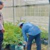 Polsek Labuapi Dorong Ketahanan Pangan Lewat Pekarangan Rumah