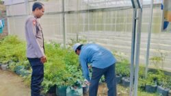 Polsek Labuapi Dorong Ketahanan Pangan Lewat Pekarangan Rumah