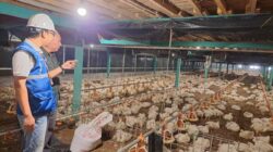 PLN Bidik Pertumbuhan UMKM dan Industri di Sumbawa