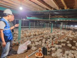 PLN Bidik Pertumbuhan UMKM dan Industri di Sumbawa