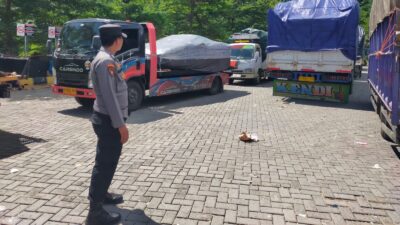 Pengiriman Hewan Ternak di Pelabuhan Lembar Kini Nihil Antrean