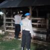 Polsek Sekotong Gencarkan Patroli Malam di Lokasi Rawan 3C