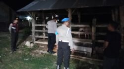 Jaga Kamtibmas, Polsek Sekotong Sambangi Kandang Ternak Dini Hari