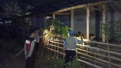 Antisipasi Pencurian Ternak Sapi, Polisi Sasar Kandang Kumpul