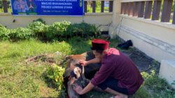 Polres Lombok Utara Gelar Sholat Idul Adha dan Potong Hewan Kurban, Perkuat Kepedulian Sosial