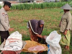 Polsek Labuapi Dukung Ketahanan Pangan di Karang Bongkot