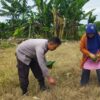 Aksi Bhabinkamtibmas Kawal Kedaulatan Pangan Nasional di NTB