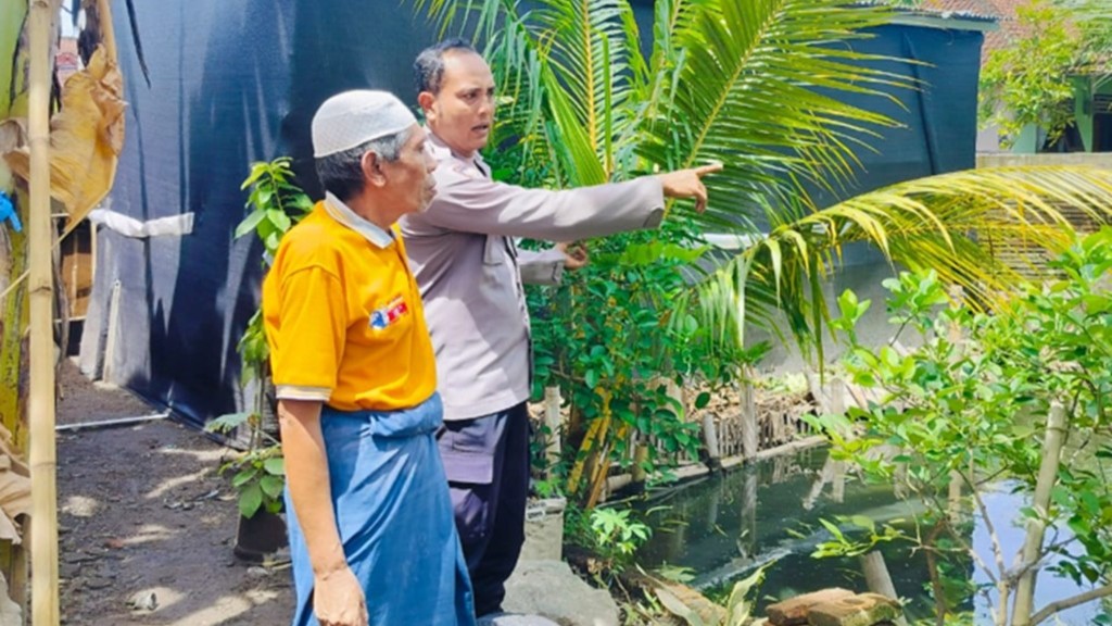 Optimalisasi Lahan Marginal di Labuapi untuk Kemandirian Pangan