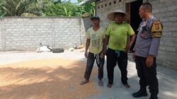Polsek Labuapi Dorong Ketahanan Pangan Desa Kuranji Melalui Jagung