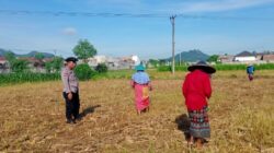 Dukung Ketahanan Pangan, Polisi Sambangi Petani Karang Bongkot