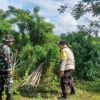 Bergerak dari Desa, Bhabinkamtibmas dan Babinsa Kawal Ketahanan Pangan Nasional di Gelogor