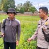 Polsek Labuapi Sambangi Petani, Jaga Stabilitas Pangan