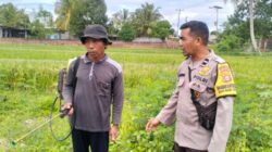 Polsek Labuapi Sambangi Petani, Jaga Stabilitas Pangan