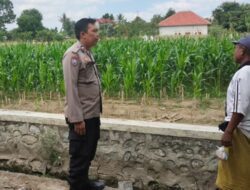 Langkah Nyata Polsek Labuapi Dorong Kemandirian Pangan Melalui Edukasi Agraris ke Warga