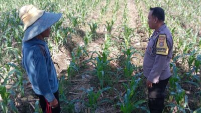 Bhabinkamtibmas Labuapi Kawal Ketahanan Pangan Desa