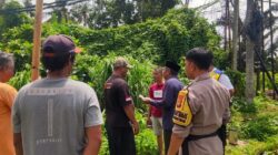 Pemanfaatan Lahan Kosong di Meninting Dongkrak Pangan Keluarga
