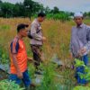 Polsek Labuapi Dorong Kemandirian Pangan Lewat Pekarangan Bergizi
