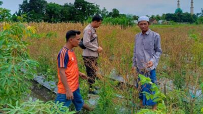 Wujudkan Swasembada Pangan, Polres Lombok Barat Edukasi Warga