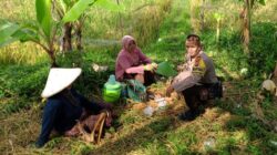 Bhabinkamtibmas Terong Tawah Pantau Lahan Bergizi dan Harga Pokok