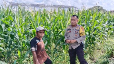 Cara Bhabinkamtibmas Bagik Polak Barat Sukseskan Swasembada Pangan