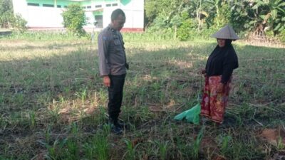 Bhabinkamtibmas Lombok Barat Edukasi Petani Kuranji Genjot Produktivitas Pangan